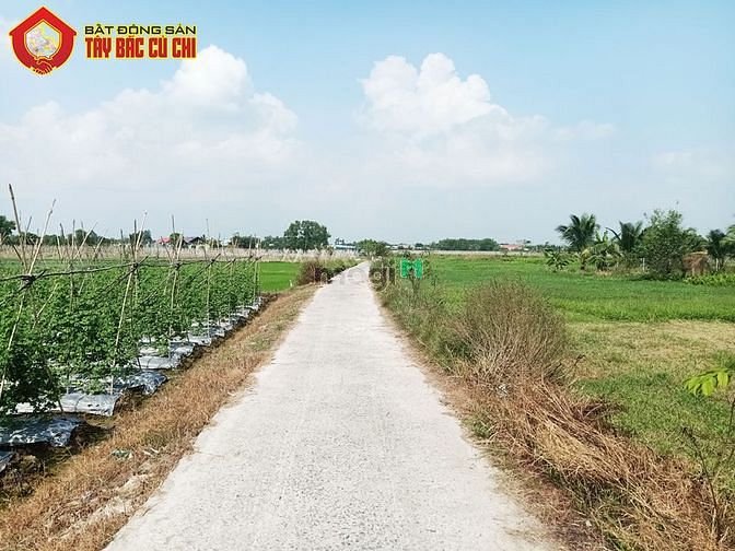Hình ảnh Bán đất vườn đường bê tông - 1298m2 - 61x28 - xã phước thạnh - củ chi