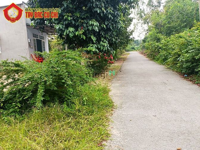 Hình ảnh Bán đất đường 757 - 312m2 - 10x26 nở hậu 13m - 120m2 thổ cư - xã an