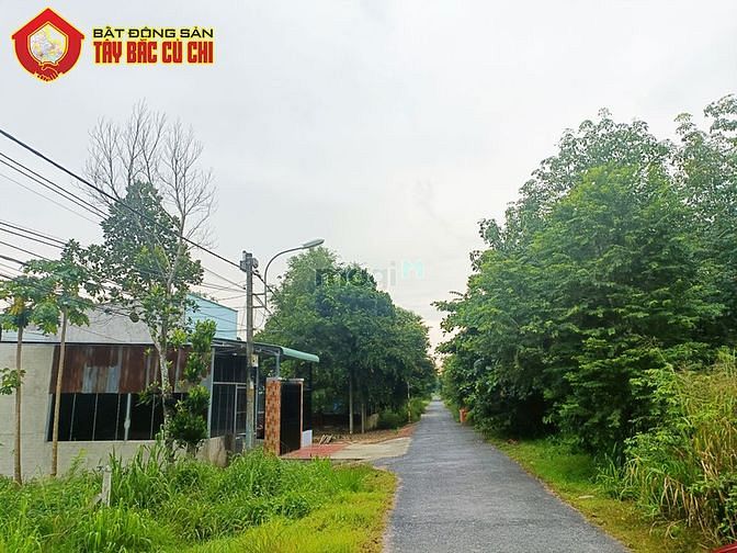 Hình ảnh Bán đất đường 793 - 666m2 - 11.5x57 - 284m2 thổ cư - xã an phú - củ