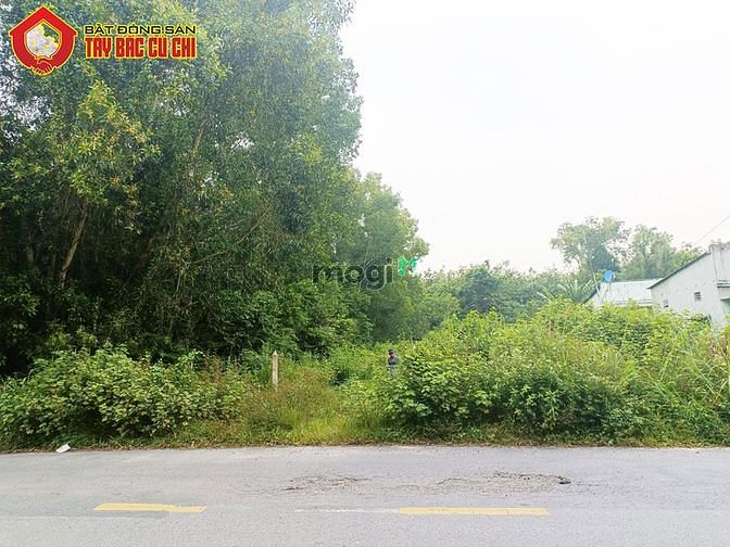 Hình ảnh Bán đất đường tỉnh lộ 15 - 923m2 - 16x56 - 300m2 thổ cư - xã an phú -