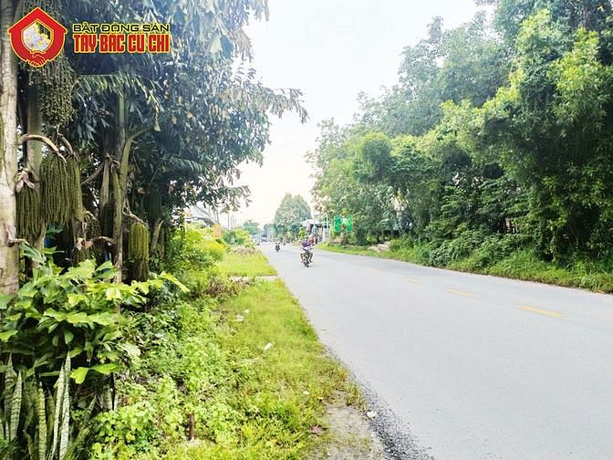 Hình ảnh Bán đất đường tỉnh lộ 15 - 923m2 - 16x56 - 300m2 thổ cư - xã an phú -