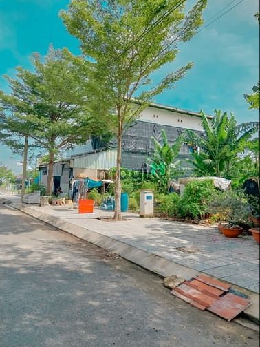 Hình ảnh Bán Lô Đất 50m2 Gần Chợ Bình Trị Đông - Sổ Riêng