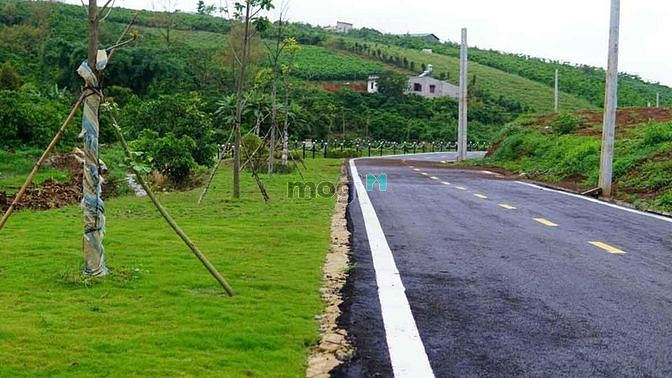 Hình ảnh bán gấp lô đất nền lâm đồng trả nợ