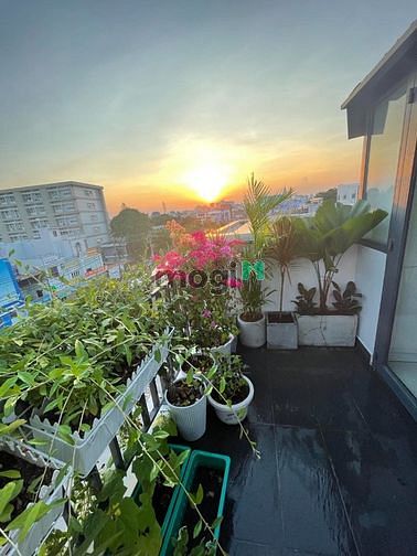 Hình ảnh Thuê nhà nguyên căn - mặt tiền CMT8 P.4 Tân Bình