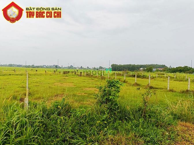 Hình ảnh Bán đất đường ba sa - 722m2 - 15.88x46 - xã trung lập hạ - củ chi