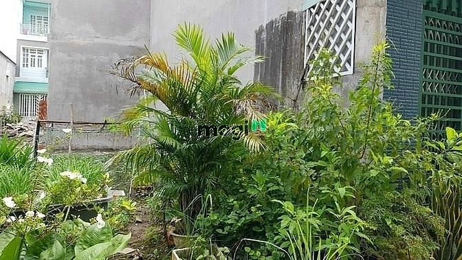 Hình ảnh Bán đất hẻm 4 đường Cầu Xây Phường Tân Phú Quận 9