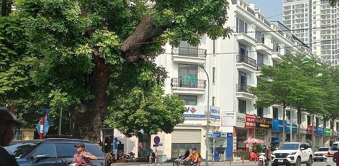 Hình ảnh Bán đất Xuân La - Võ Chí Công - Tây Hồ 86,2m2, Mt 5m, chỉ 8,9 tỷ.