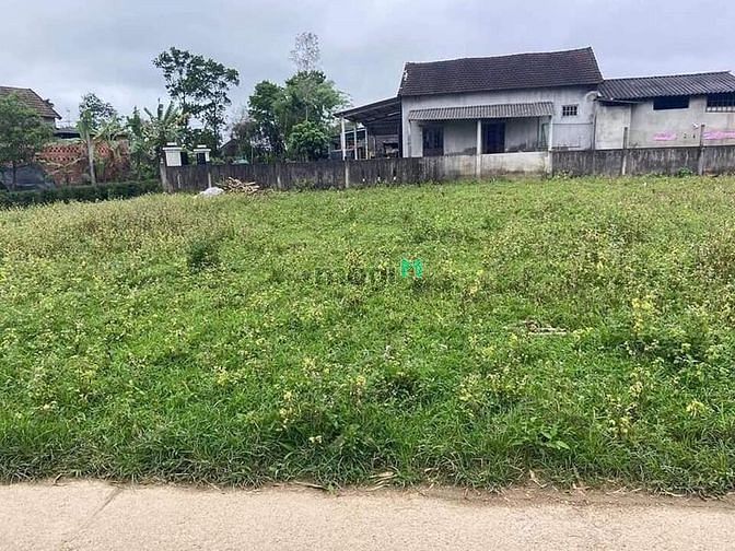 Hình ảnh Giá chỉ 6xx Hải Thượng_Hải Lăng Quảng Trị