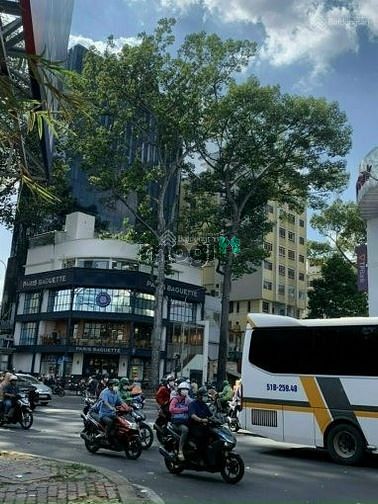Hình ảnh Cho thuê biệt thự 115A Trần Quốc Thảo, Quận 3
