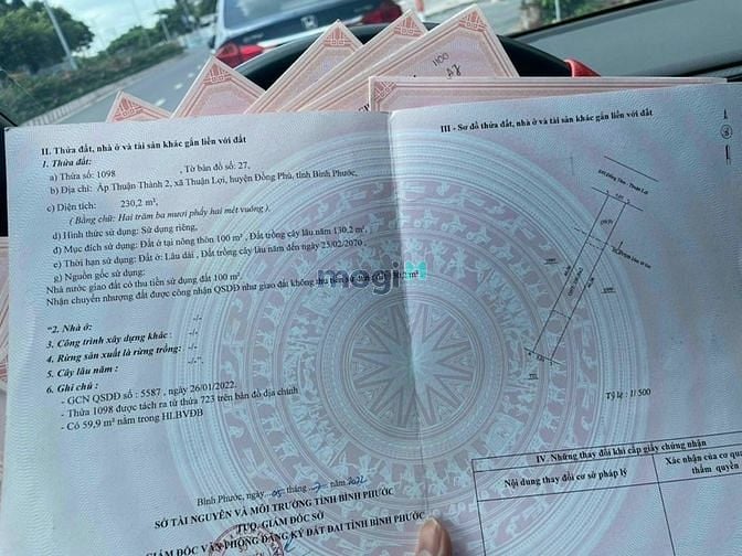 Hình ảnh Thiếu nợ cần bán gấp lô đất trên Đồng Phú - Bình Phước 250m sổ sẵn