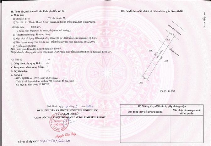 Hình ảnh Thiếu nợ cần bán gấp lô đất trên Đồng Phú - Bình Phước 250m sổ sẵn