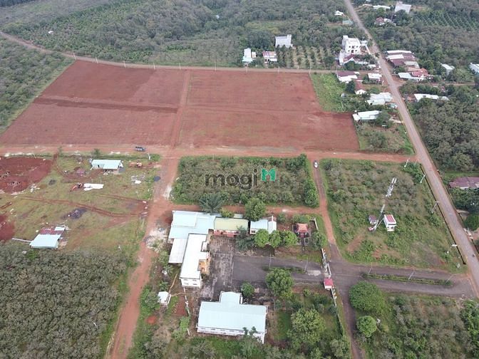 Hình ảnh Sang 588m2 đất thổ cư. Đường nhựa thông dài. Đối diện trường học.SHR