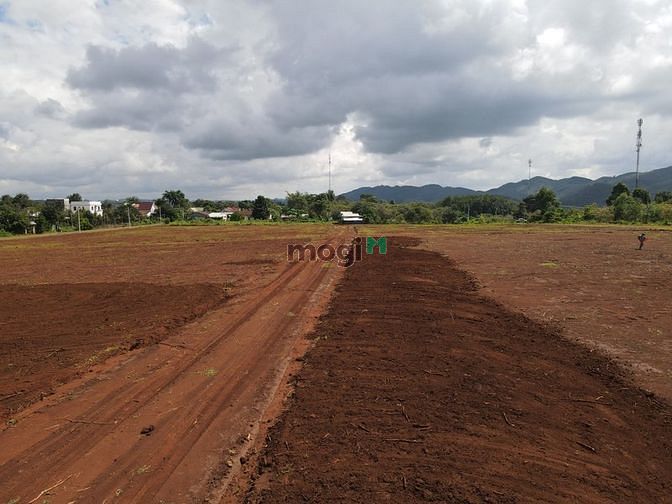 Hình ảnh Sang 588m2 đất thổ cư. Đường nhựa thông dài. Đối diện trường học.SHR