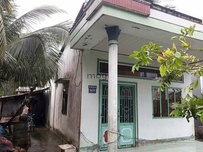 Hình ảnh Bán vườn sầu riêng và na thái, trên đất có sẵn nhà cấp 4