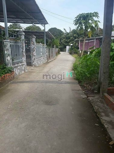 Hình ảnh Bán vườn sầu riêng và na thái, trên đất có sẵn nhà cấp 4