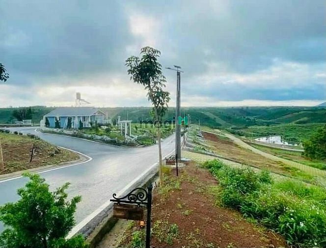 Hình ảnh Làng mây Di Linh - Đất nền nghỉ dưỡng