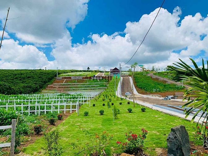 Hình ảnh Làng mây Di Linh - Đất nền nghỉ dưỡng