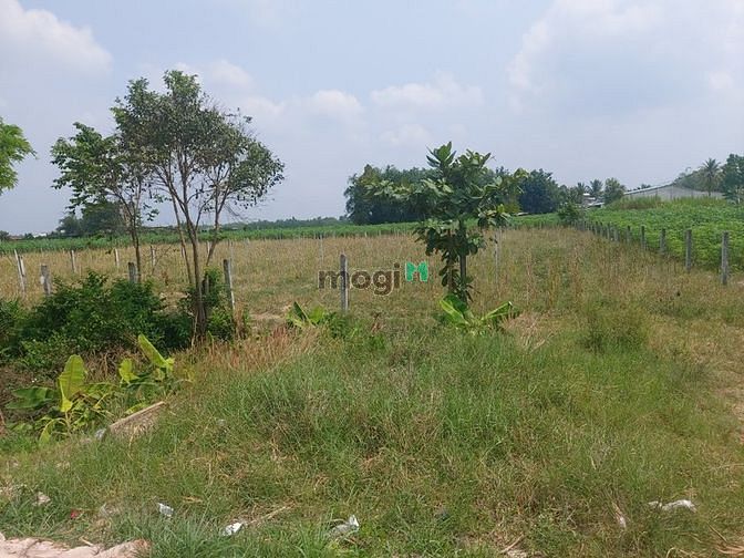 Hình ảnh Đất Mặt Tiền Đường 793, Tân Bình-Tây Ninh Sổ Đỏ 1.340m. Chỉ 4 Tr/m