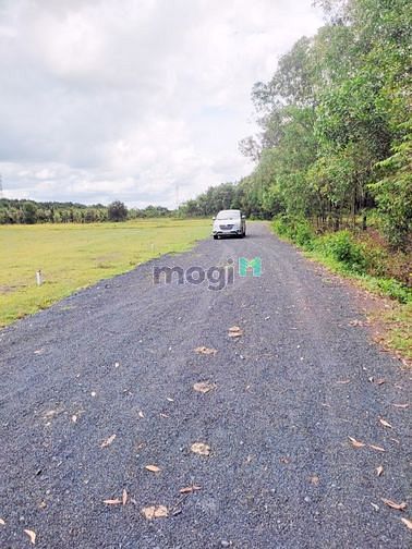 Hình ảnh Đất sao trung tâm Lộc Ninh Bình Phước