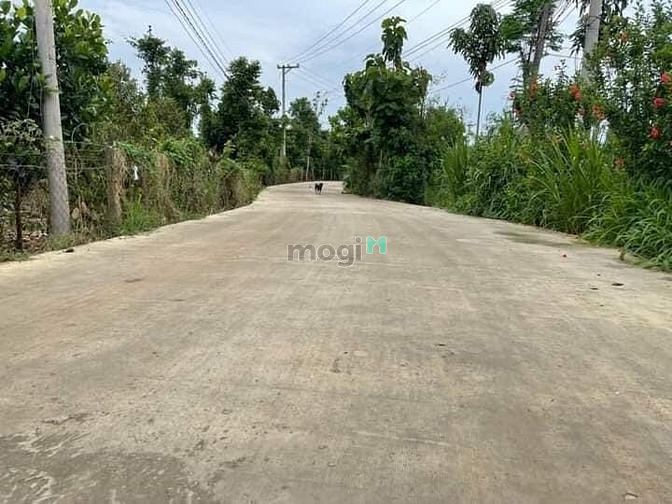 Hình ảnh Đất thổ cư trung tâm Định Quán - 790tr/lô