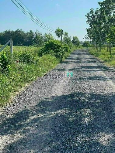 Hình ảnh đất nền tây ninh chỉ với 479tr dễ dàng Trang MB66.COM Chính Thức - MB 66 Uy Tín, dễ dàng sở hữu