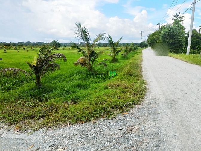 Hình ảnh Bán đất đường 799 xã An Phú Củ Chi