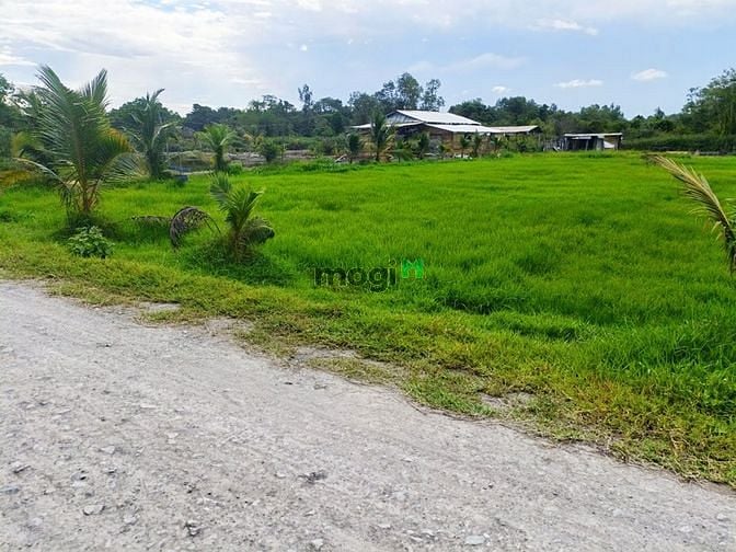 Hình ảnh Bán đất đường 799 xã An Phú Củ Chi