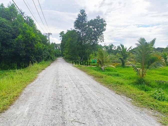 Hình ảnh Bán đất đường 799 xã An Phú Củ Chi