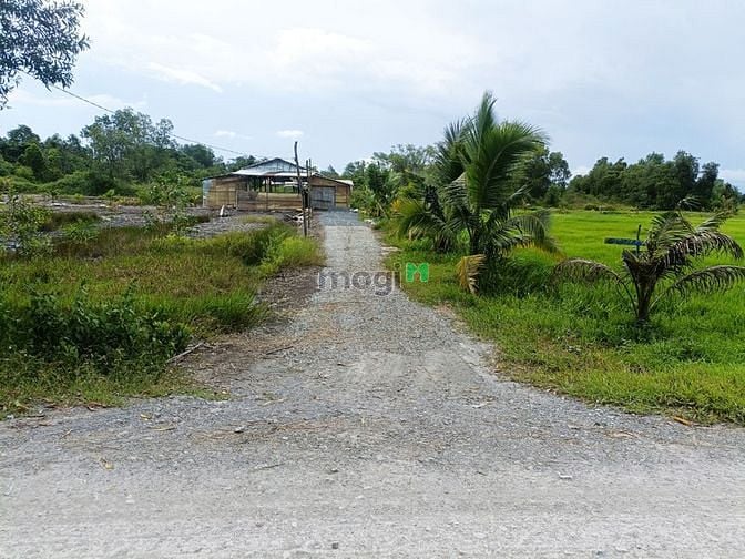 Hình ảnh Bán đất đường 799 xã An Phú Củ Chi