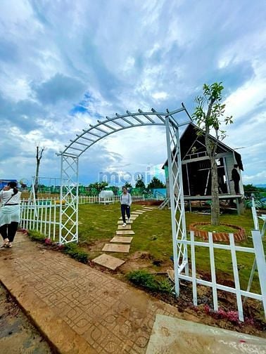 Hình ảnh Đi săn MÂY và săn ĐẤT cùng mình nè!