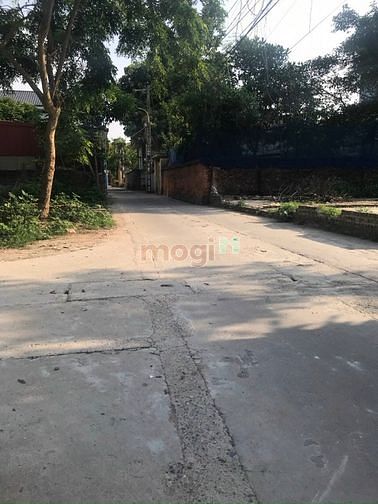 Hình ảnh Chỉ 1ty4 có ngay 50m2 lô góc 50m2 đất thôn nhì, vân trì. đông anh