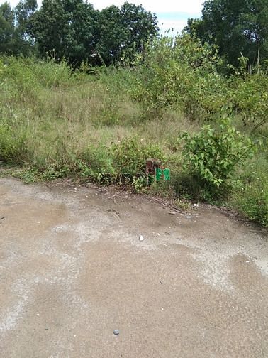 Hình ảnh Siêu đẹp 2 mặt đường phước hạ sát khu du lịch hoàn cầu 815m