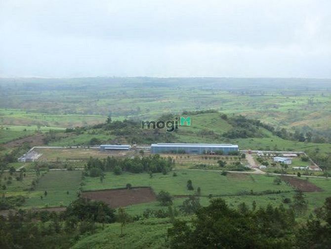 Hình ảnh Thanh lý nhà máy tại Quốc lộ 26 tỉnh Đăk Lăk