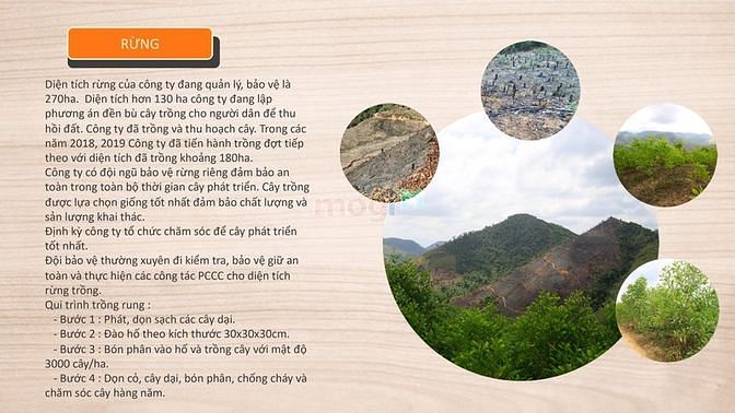 Hình ảnh Thanh lý nhà máy tại Quốc lộ 26 tỉnh Đăk Lăk