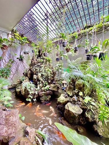 Hình ảnh Nhà Tân Phú biệt thự 3 tầng , đất 171m2 , nhà cực đẹp