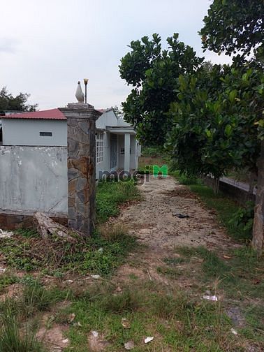 Hình ảnh Bán✨ đất 3 MT BÀ THIÊN, NHUẬN ĐỨC 11X99m có 800m2 thổ cư