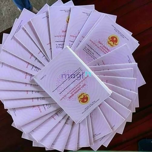 Hình ảnh bán đất nền giá tận gốc rẻ nhất tại vị trí