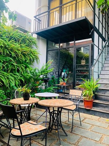 Hình ảnh CHDV Tại Thảo Điền - Hốt Ngay Em Nó Đi ạ