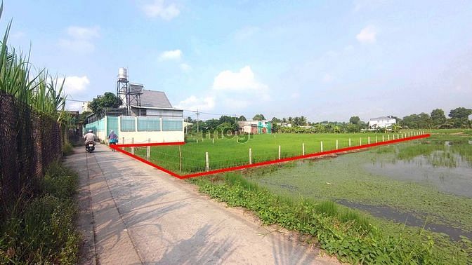 Hình ảnh Đất 2 MT 3600m2 Huỳnh Hữu Trí chợ Bình Chánh