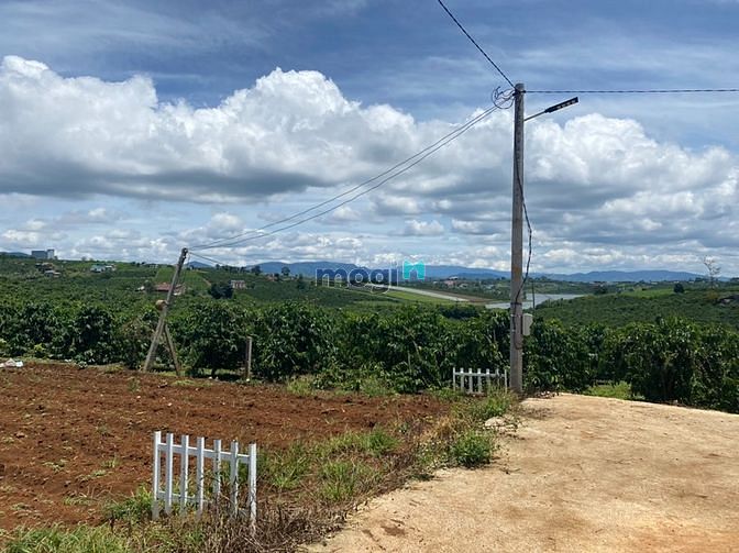 Hình ảnh Cần bán gấp lô đất 539m2 siêu đẹp view hồ Phúc Thọ.
