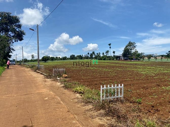Hình ảnh Cần bán gấp lô đất 539m2 siêu đẹp view hồ Phúc Thọ.