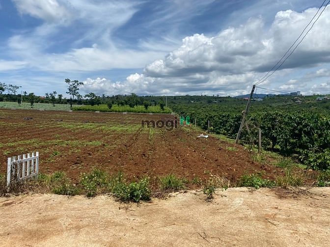 Hình ảnh Cần bán gấp lô đất 539m2 siêu đẹp view hồ Phúc Thọ.