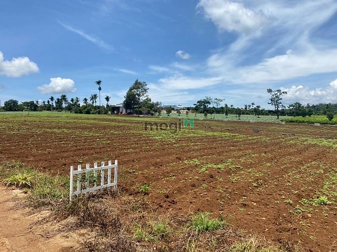 Hình ảnh Cần bán gấp lô đất 539m2 siêu đẹp view hồ Phúc Thọ.
