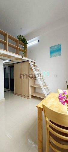 Hình ảnh CHDV 8P Full NT - Doanh thu 40tr/th - Vị Trí Trung Tâm