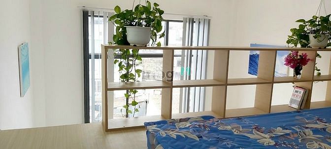 Hình ảnh CHDV 8P Full NT - Doanh thu 40tr/th - Vị Trí Trung Tâm