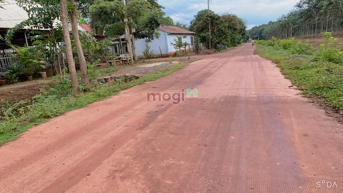 Hình ảnh Bán Gấp 1000m2 Đất Thổ Cư Ngay KCN Bình Phước Sổ Hồng Riêng Chỉ 750 Tr