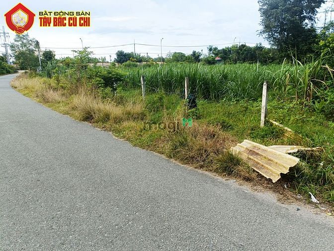 Hình ảnh Bán đất đường phú hiệp - 1491m2 - 35x49 - xã phú mỹ hưng - củ chi