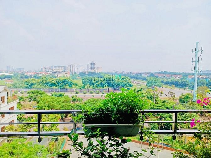 Hình ảnh Bán nhanh phố Việt Hưng, Long Biên 76 7 5