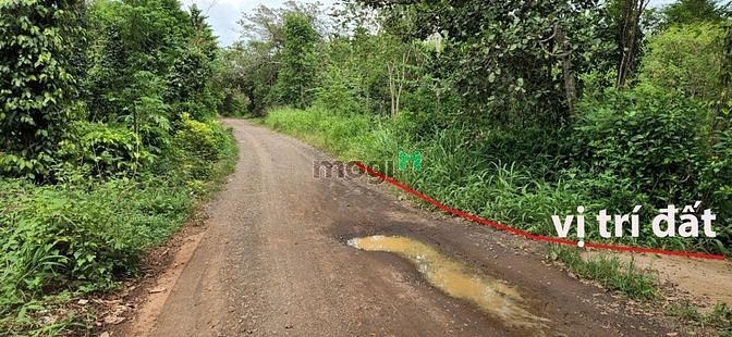 Hình ảnh Bán đất hồ Cầu Mới - Lô góc cực đẹp