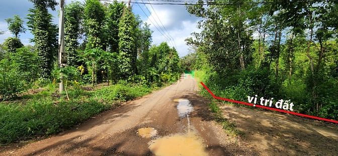 Hình ảnh Bán đất hồ Cầu Mới - Lô góc cực đẹp